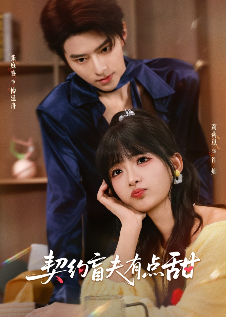 契约盲夫有点甜封面图