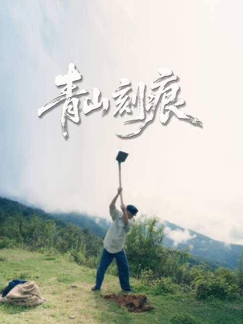 青山刻痕封面图