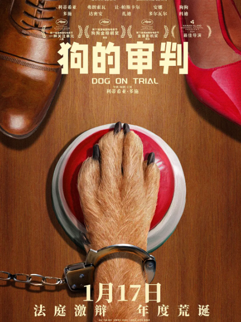 狗的审判封面图