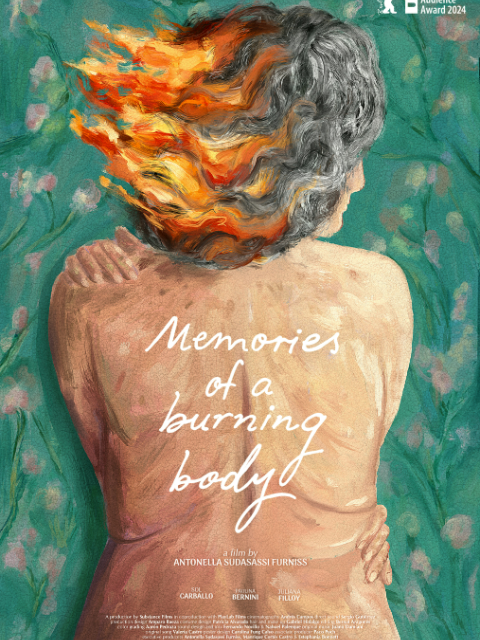 燃烧身体的记忆封面图