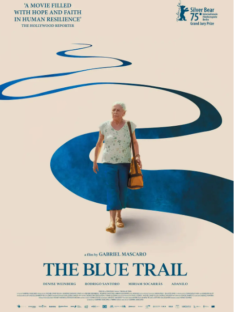 天空的另一面封面图