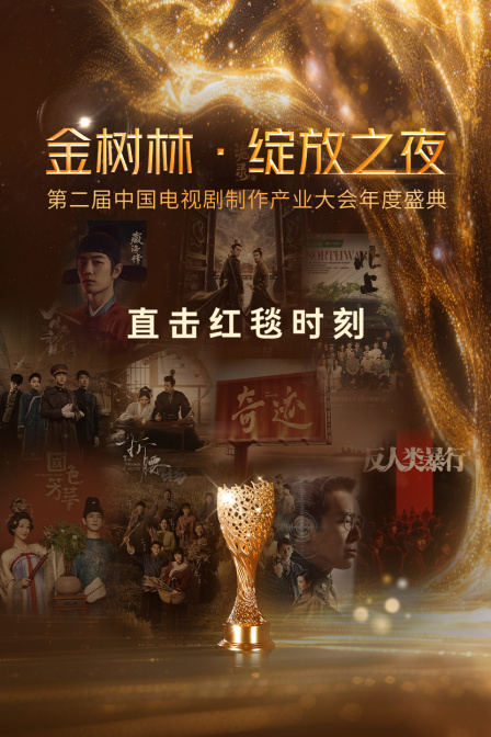 金树林绽放之夜封面图