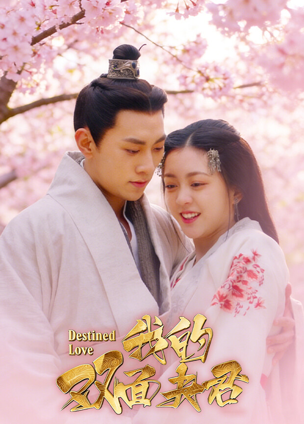 我的双面夫君封面图