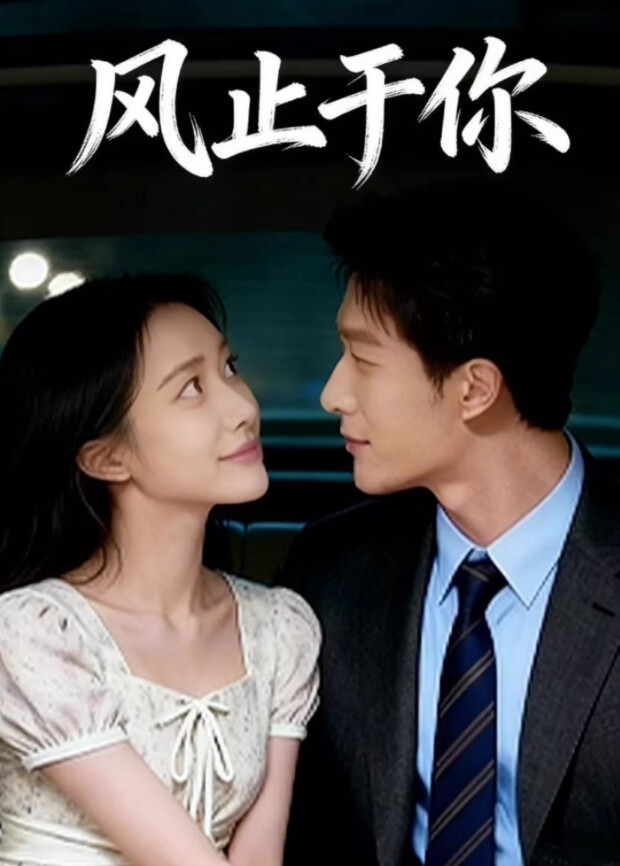 风止于你封面图