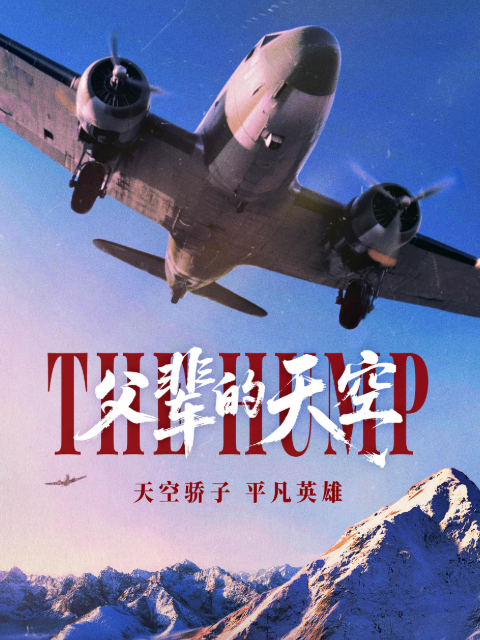 父辈的天空封面图