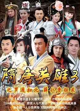 隋唐英雄3DVD版}