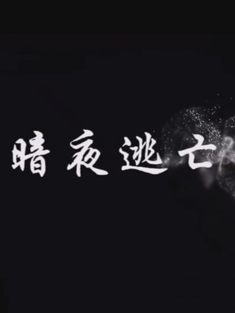 暗夜逃亡线上看