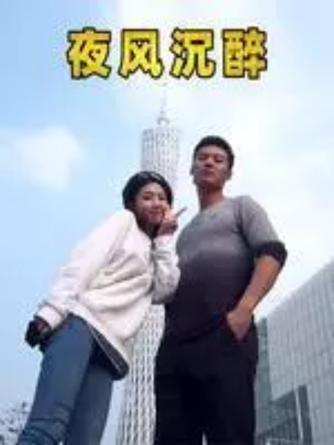 夜风沉醉线上看