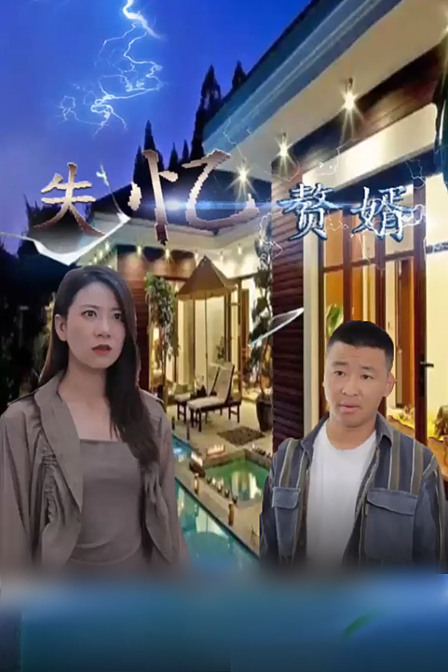 失忆赘婿在线观看
