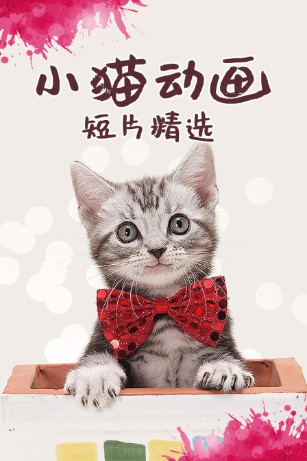 小猫动画短片精选}