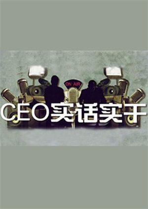 CEO实话实干 2010}