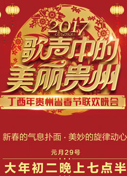 2017贵州卫视春晚}