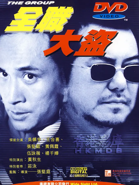全职大盗线上看
