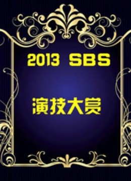 2013SBS演技大赏}