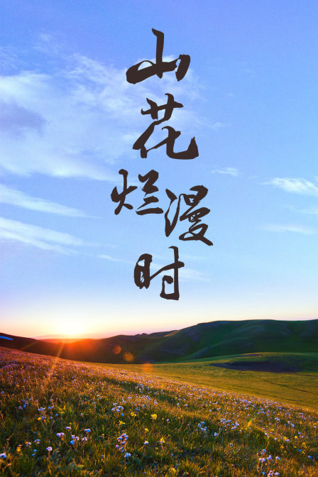 海报背景