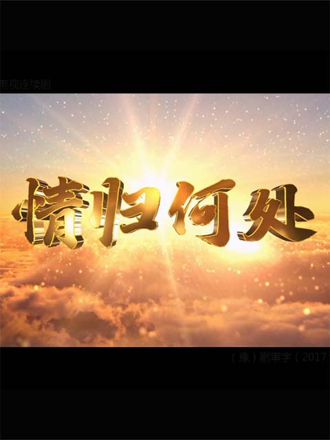 情归何处线上看