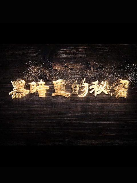 黑暗里的秘密线上看