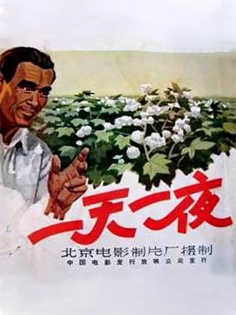 一天一夜线上看