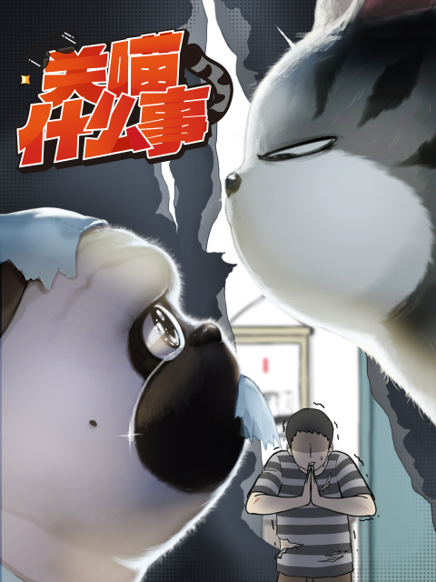 关喵什么事线上看
