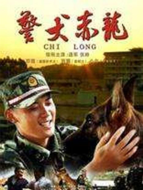 警犬赤龙线上看