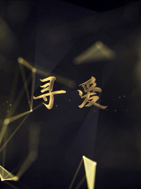寻爱线上看