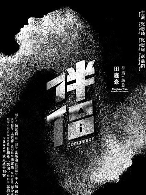 伴侣线上看