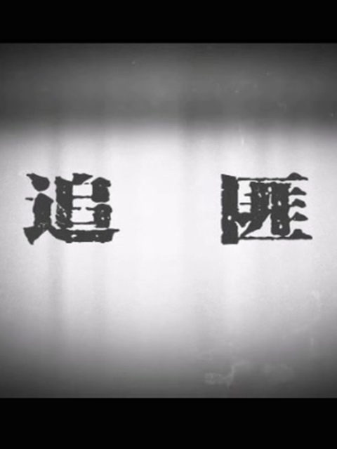 追匪线上看