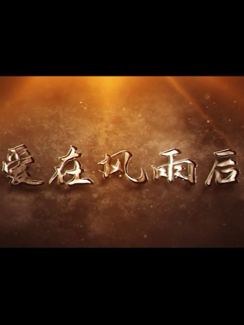 爱在风雨后线上看