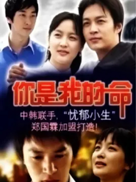 命运的春天线上看