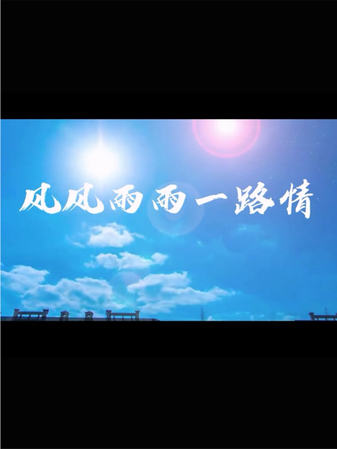 风风雨雨一路情线上看