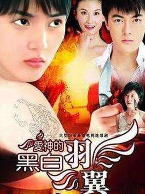 爱神的黑白羽翼线上看