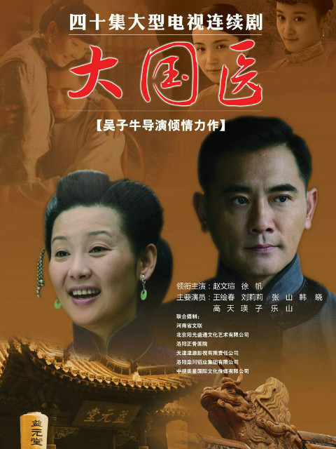 大国医线上看