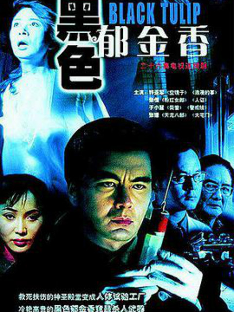 黑色郁金香线上看