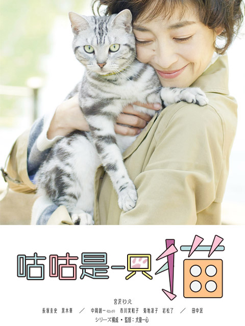 咕咕是一只猫线上看
