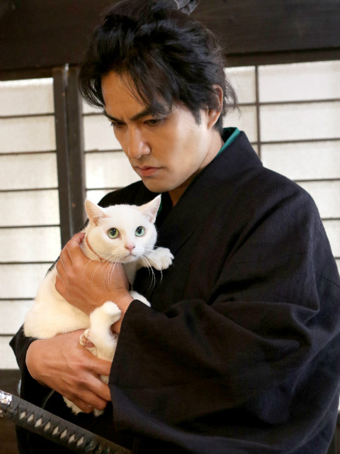 猫侍第二季线上看