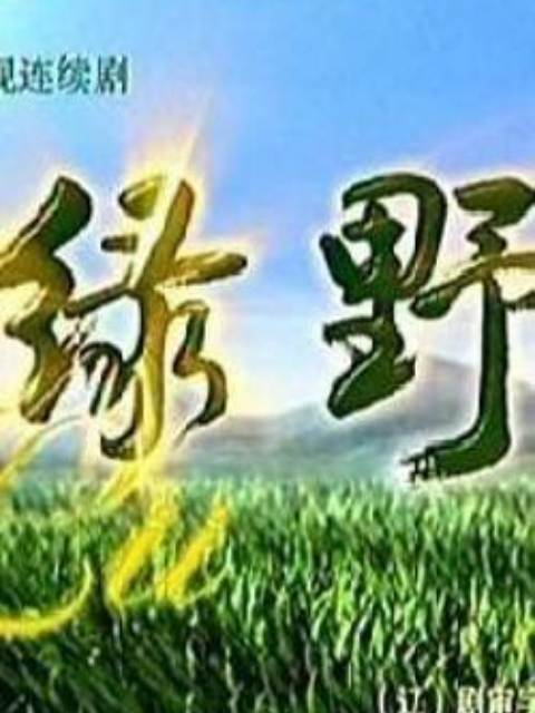绿野线上看