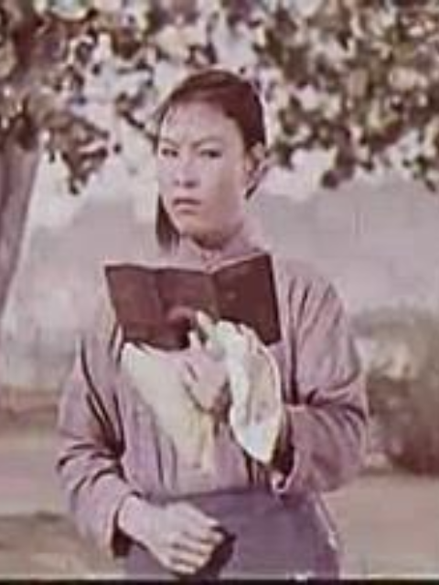游乡线上看