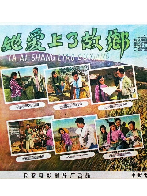 她爱上了故乡线上看