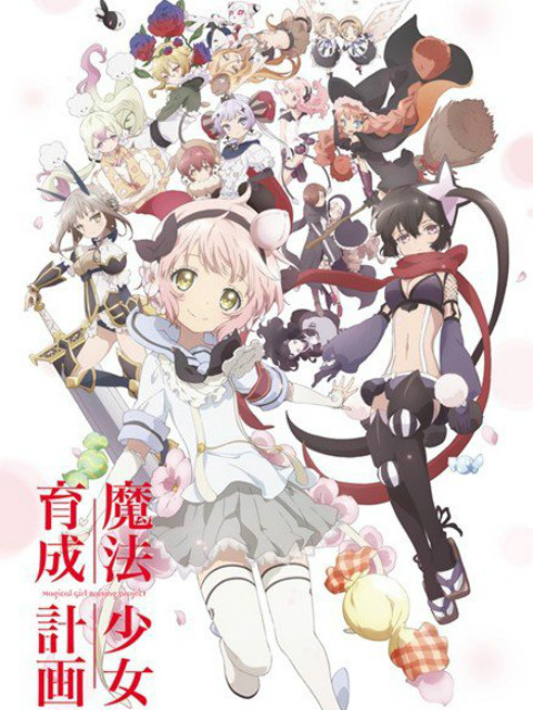 魔法少女育成计划线上看